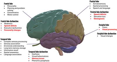 The effectiveness of educational interventions in the community that aim to improve informal carers knowledge of dementia anatomy, physiology, progression, and impact on behavior: a systematic review